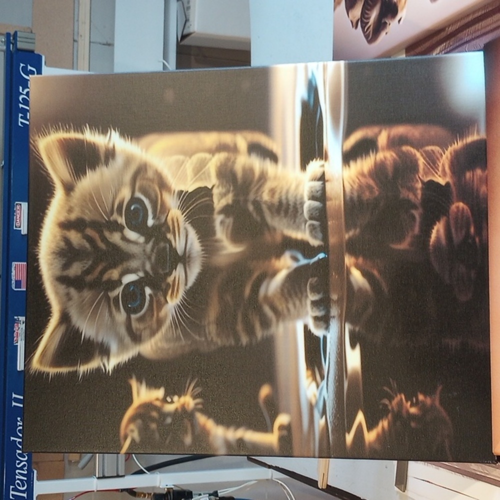 Canvas picture 20"x24"